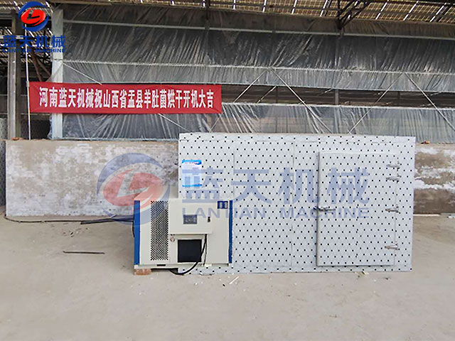 山西羊肚菌烘干機開機